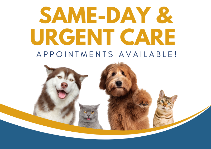 Carousel Slide 4: Same day & Urgent Care appointments