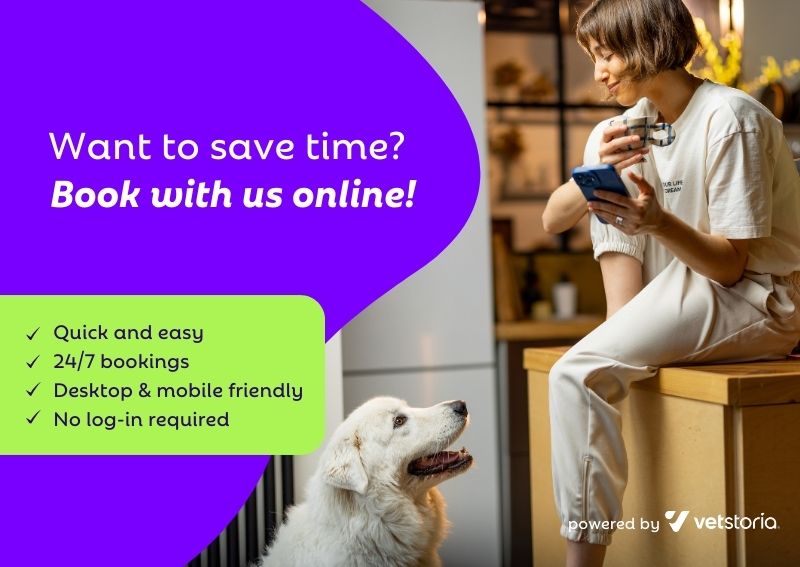 Carousel Slide 2: Veterinary appointments in DFW